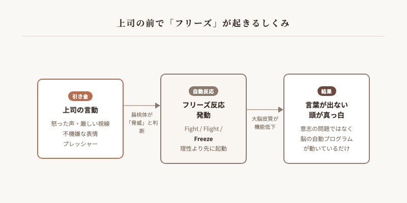 上司の前でフリーズ反応が起きるしくみ：扁桃体が脅威を検知して言葉が出なくなる図解