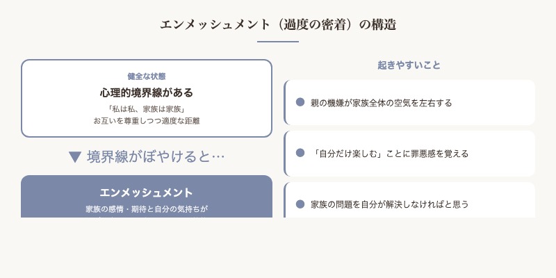 エンメッシュメント（過度の密着）：家族の心理的境界線の構造 図解