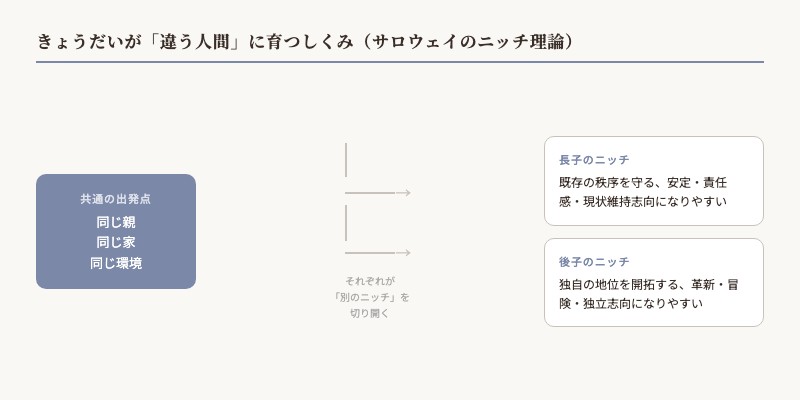 きょうだいが違う人間に育つしくみ（サロウェイのニッチ理論）図解