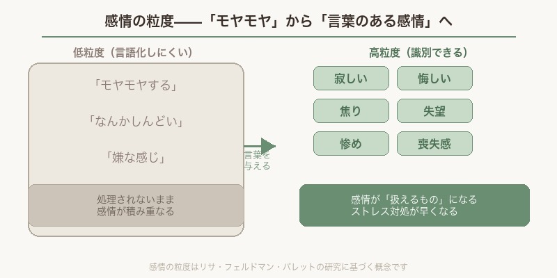 感情の粒度：低粒度と高粒度の比較図解