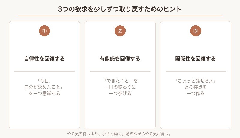 3つの欲求を取り戻すためのヒントまとめ図解