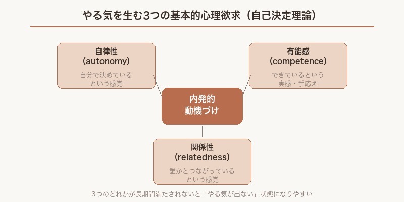 やる気を生む3つの基本的心理欲求（自己決定理論）図解
