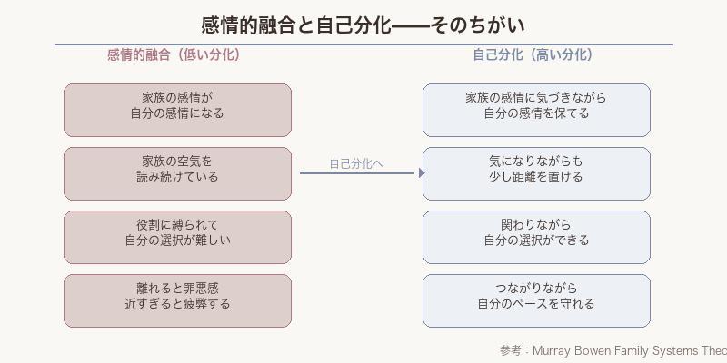 感情的融合と自己分化の比較 図解